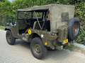 Jeep Willys Willys Jeep M38A1 ,,Elvis Preslay'' Yeşil - thumbnail 10