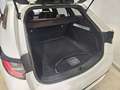 Toyota Corolla Touring Sports 180H Advance Blanco - thumbnail 24