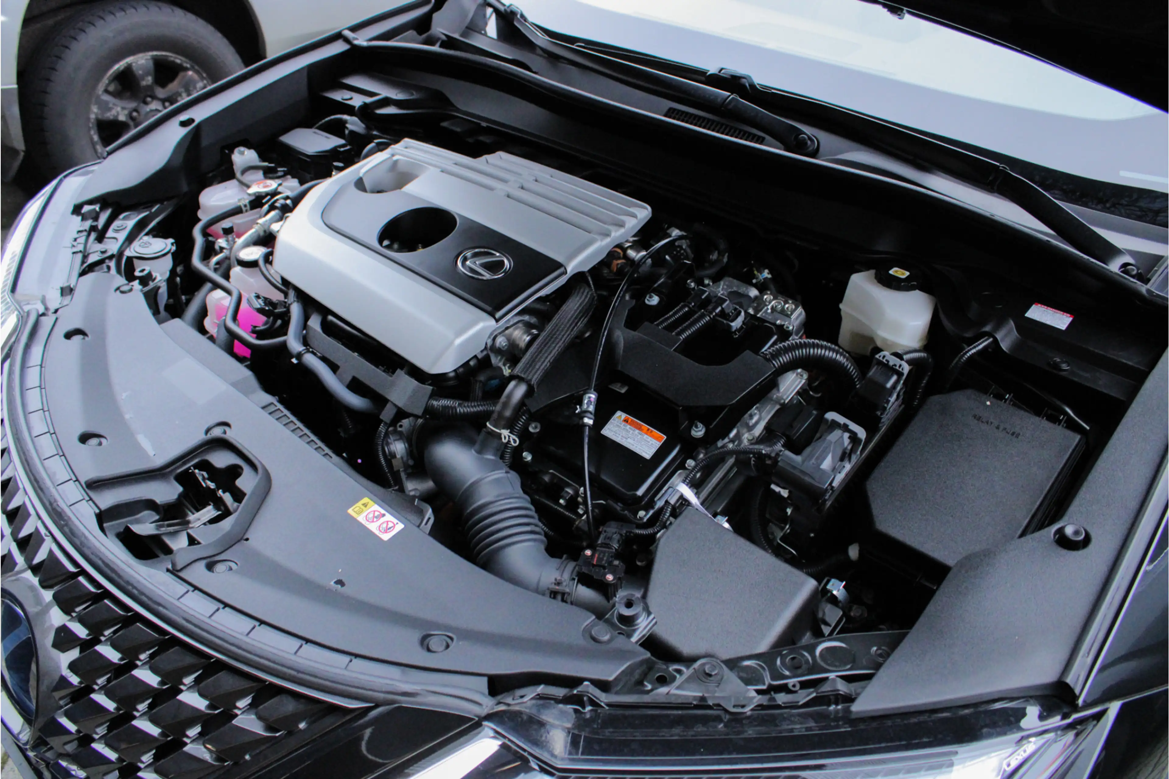 Lexus UX 250h Preference Line |facelift|stoelverwarming|dodehoek — photo 17