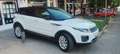 Land Rover Range Rover Evoque 2.0TD4 Pure 4WD 150 Blanco - thumbnail 11