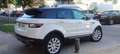 Land Rover Range Rover Evoque 2.0TD4 Pure 4WD 150 Blanco - thumbnail 9