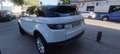 Land Rover Range Rover Evoque 2.0TD4 Pure 4WD 150 Blanco - thumbnail 7