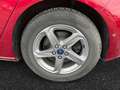Ford Focus Vignale Rouge - thumbnail 19