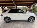 Mercedes-Benz GLE 250 250d 4Matic Aut. AMG - thumbnail 3