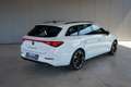 CUPRA Leon 1.5 TSI 150 Weiß - thumbnail 11