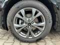 Ford Kuga ST-Line 2.0 EcoBlue Automatik ACC Schwarz - thumbnail 15