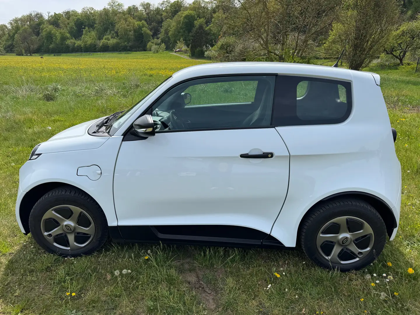 e.GO Life 60 PURE 1.Hand, LED, Klima, Sitzh.,CarPlay ,  Mwst. Weiß - 1