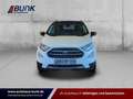 Ford EcoSport Titanium 1.0l EcoBoost /Navi /Kamera Blanc - thumbnail 6