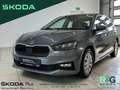 Skoda Fabia Selection 1.0 TSI DSG SHZ Freisprech PDC Grau - thumbnail 1