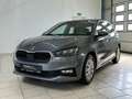 Skoda Fabia Selection 1.0 TSI DSG SHZ Freisprech PDC Grau - thumbnail 2