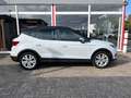 SEAT Arona 1.0 TSI Style Ltd Ed Wit - thumbnail 4