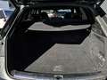 Audi Q5 40 TDI quattro intense S line Grau - thumbnail 5