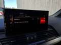 Audi Q5 40 TDI quattro intense S line Grau - thumbnail 20
