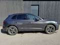 Audi Q5 40 TDI quattro intense S line Grau - thumbnail 10