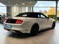 Ford Mustang GT Convertible*RFK*Xenon*SBL* Blanc - thumbnail 10