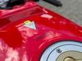Ducati 888 SP5 Red - thumbnail 8