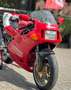 Ducati 888 SP5 Rouge - thumbnail 16