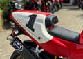 Ducati 888 SP5 Red - thumbnail 12