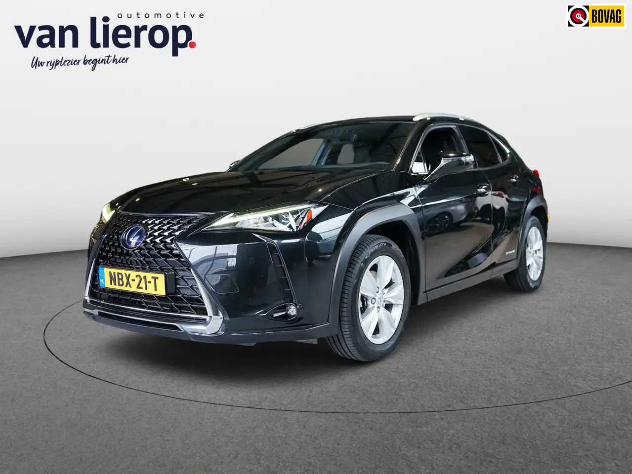 Lexus UX 250h