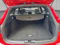 Ford Focus Turnier 1.0 EcoBoost Hybrid Aut. ST-LINE Rot - thumbnail 4