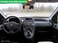 Fiat Panda 1.2 Active St.Bekr | EL ramen | 75.355 KM Amarillo - thumbnail 10