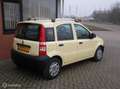 Fiat Panda 1.2 Active St.Bekr | EL ramen | 75.355 KM Gelb - thumbnail 3