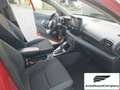Toyota Yaris Yaris 1.5 Hybrid 5 porte Trend Rosso - thumbnail 16