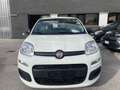 Fiat New Panda 1.0 FIREFLY HYBRID MY25 69CV Weiß - thumbnail 2