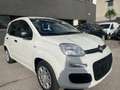 Fiat New Panda 1.0 FIREFLY HYBRID MY25 69CV Bianco - thumbnail 1