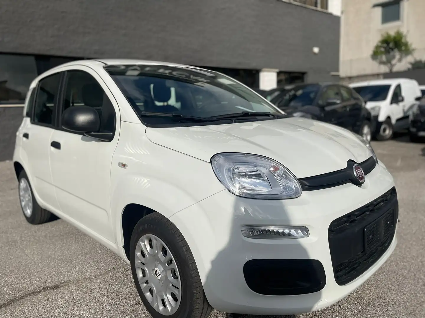 Fiat New Panda 1.0 FIREFLY HYBRID MY25 69CV Weiß - 1