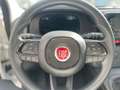 Fiat New Panda 1.0 FIREFLY HYBRID MY25 69CV Bianco - thumbnail 7