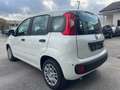 Fiat New Panda 1.0 FIREFLY HYBRID MY25 69CV Bianco - thumbnail 4