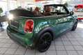 MINI Cooper Cabrio - Automatik-LED-Leder-MiniYours Grün - thumbnail 5