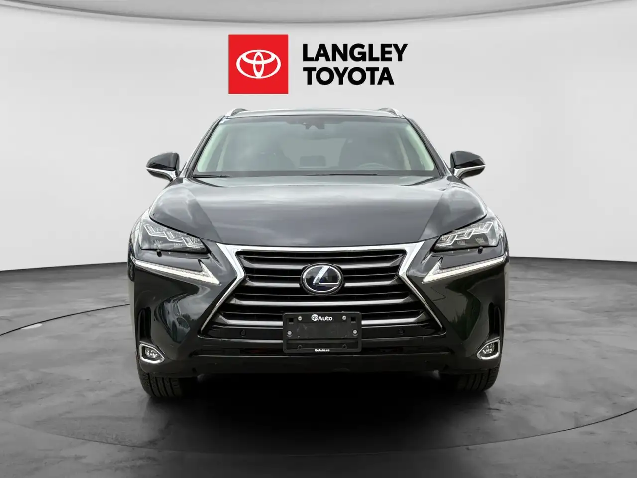 Lexus NX fotografie Lexus NX