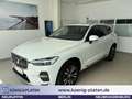 Volvo XC60 T6 AWD InscriptionExpression Plug-In Hybrid Klima Weiß - thumbnail 1