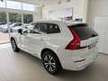Volvo XC60 T6 AWD InscriptionExpression Plug-In Hybrid Klima Weiß - thumbnail 2