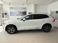 Volvo XC60 T6 AWD InscriptionExpression Plug-In Hybrid Klima Weiß - thumbnail 5