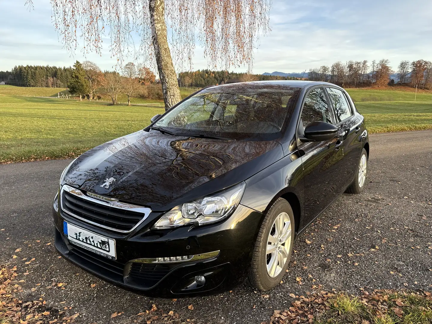 Peugeot 308 308 Active PureTech 110 Stop & Start Schwarz - 1