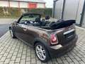 MINI Cooper Cabrio Pepper XENON SH Bluetooth PDC LCI Brun - thumbnail 3