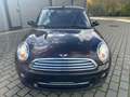 MINI Cooper Cabrio Pepper XENON SH Bluetooth PDC LCI Brun - thumbnail 23