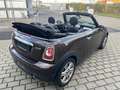 MINI Cooper Cabrio Pepper XENON SH Bluetooth PDC LCI Brun - thumbnail 5