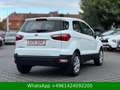Ford EcoSport Cool & Connect Weiß - thumbnail 6