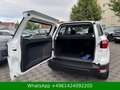 Ford EcoSport Cool & Connect Weiß - thumbnail 20