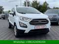 Ford EcoSport Cool & Connect Weiß - thumbnail 8