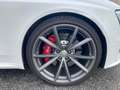 Audi RS4 RS 4 Avant 4.2 TFSI quattro S-Tronic Blanc - thumbnail 19