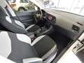 SEAT Ateca 1.0 TSI Reference Klima/16"/Bluetooth Blanc - thumbnail 13
