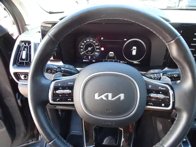 Kia Sorento view 13