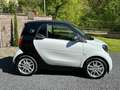 smart forTwo electric drive EQ 16 Zoll LED Garantie Blanc - thumbnail 10