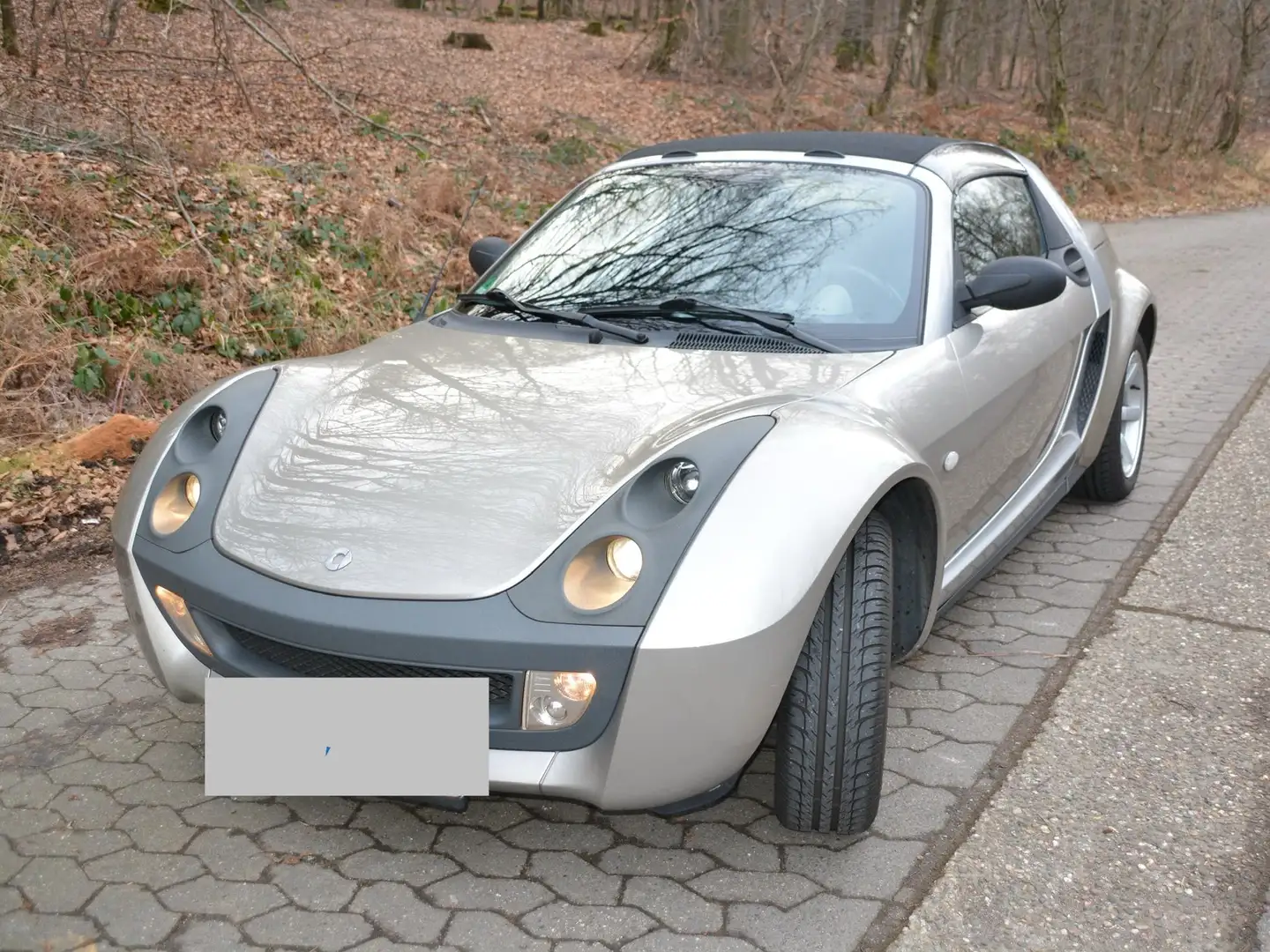 smart roadster smart roadster softtouch Grau - 2