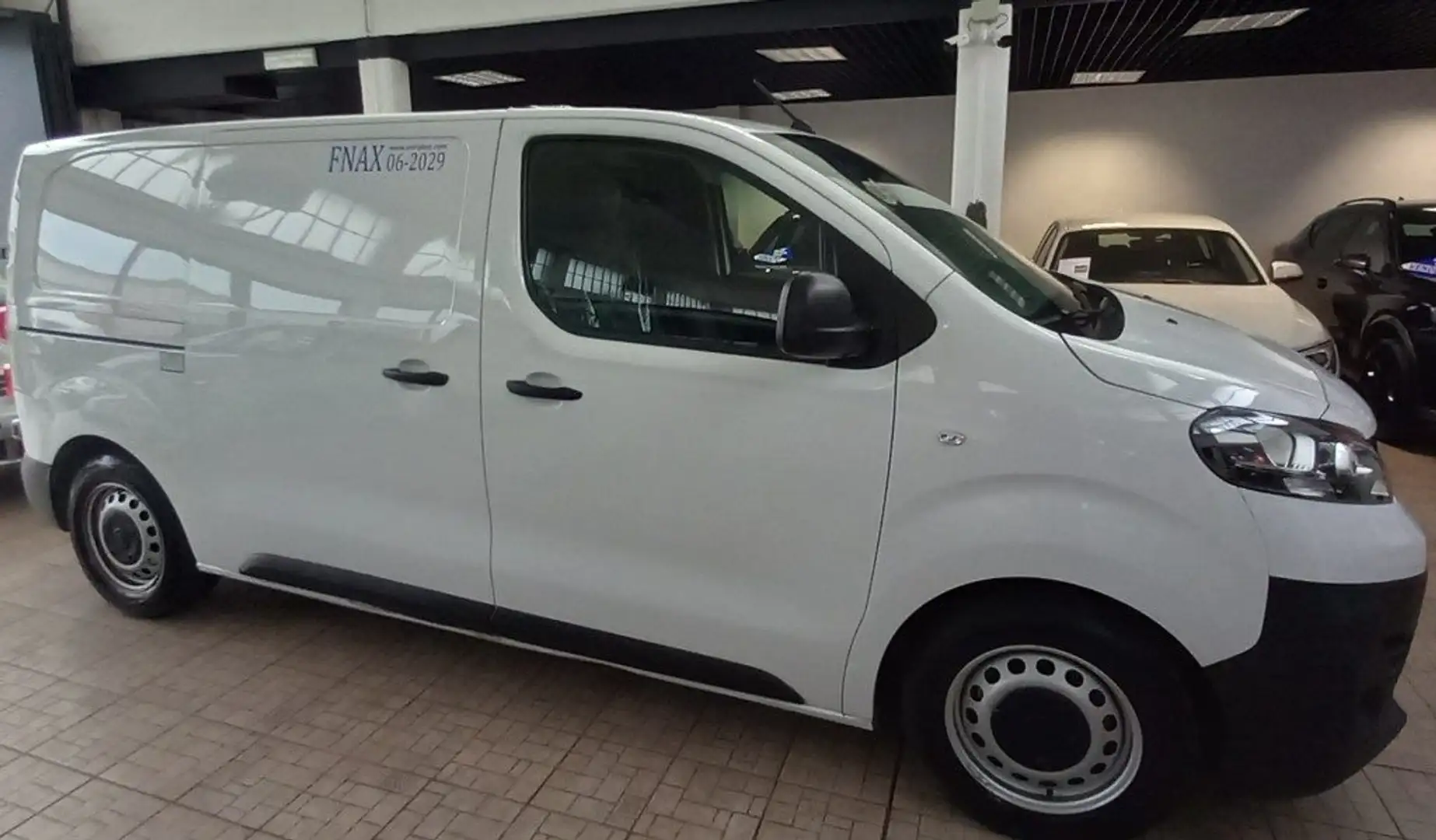 Fiat Scudo 1.5 BlueHDi 120 CV passo lungo frigo Bianco - 2